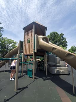 Shaw Park Treetop Playground