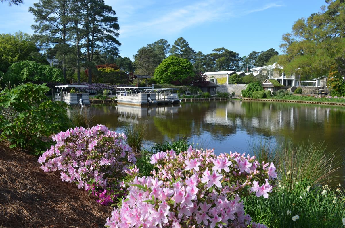 Norfolk Botanical Garden