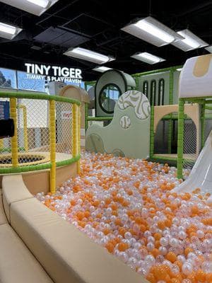 Tiny Tiger — photo 1 of 6