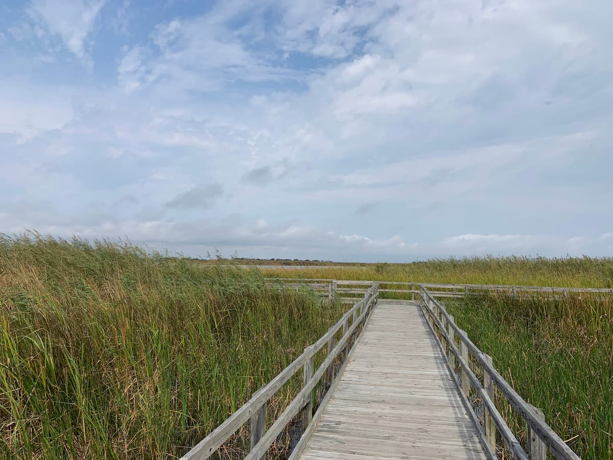 Back Bay National Wildlife Refuge