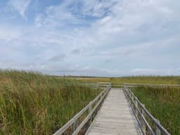 Back Bay National Wildlife Refuge