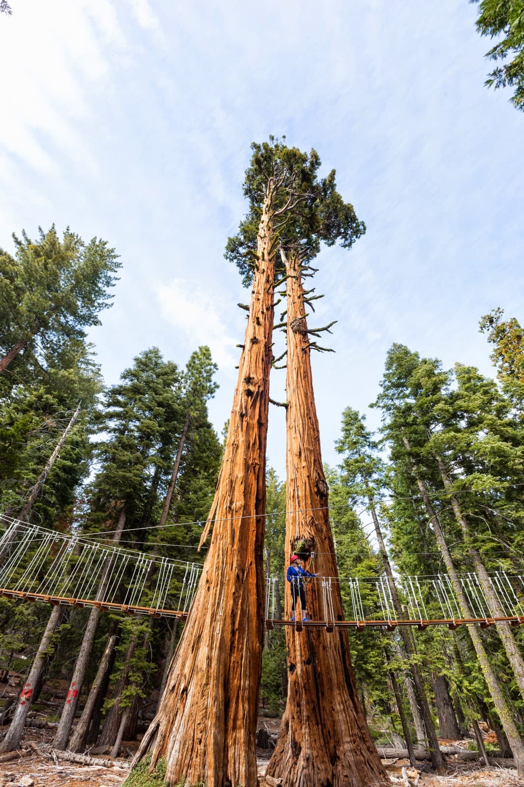 Lake Tahoe Family Itinerary