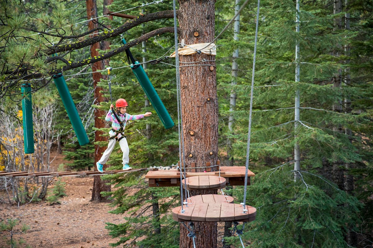 Tahoe Treetop Adventure Parks