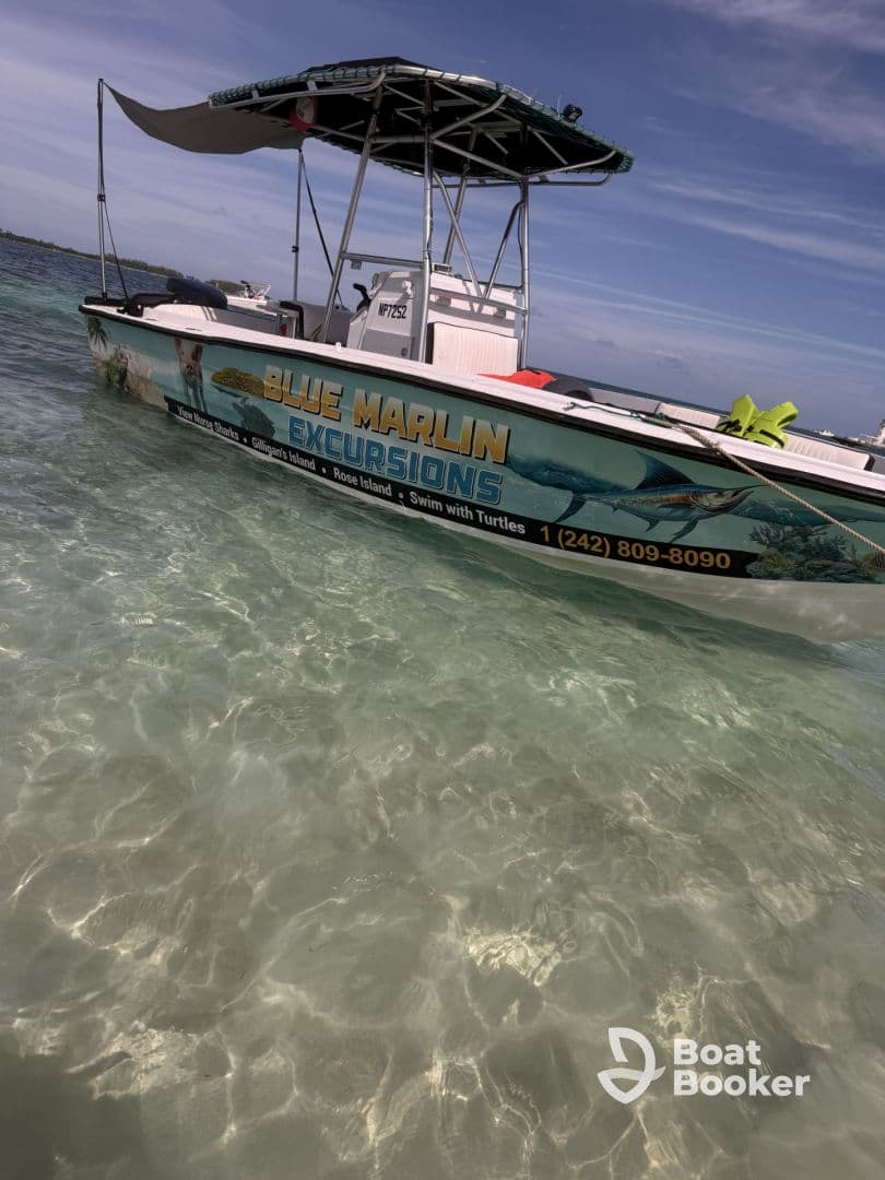 Blue Marlin Excursions