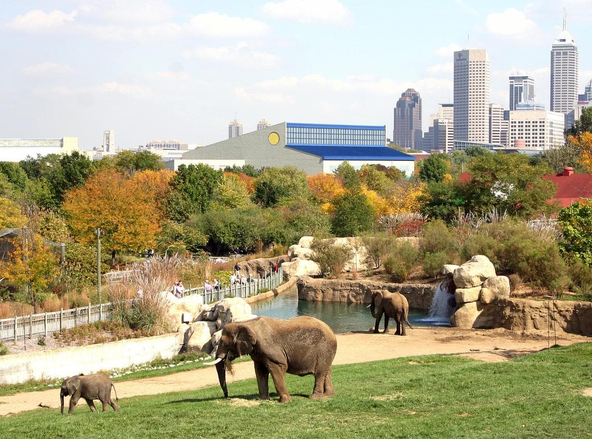 Indianapolis Zoo Skyline