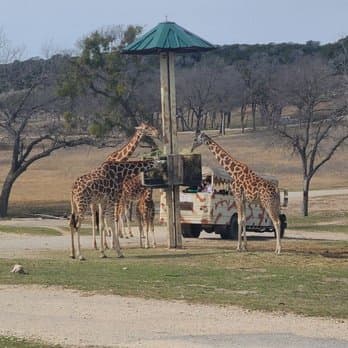 Fossil Rim Wildlife Center-Animal Discoveries