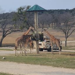 Fossil Rim Wildlife Center-Animal Discoveries