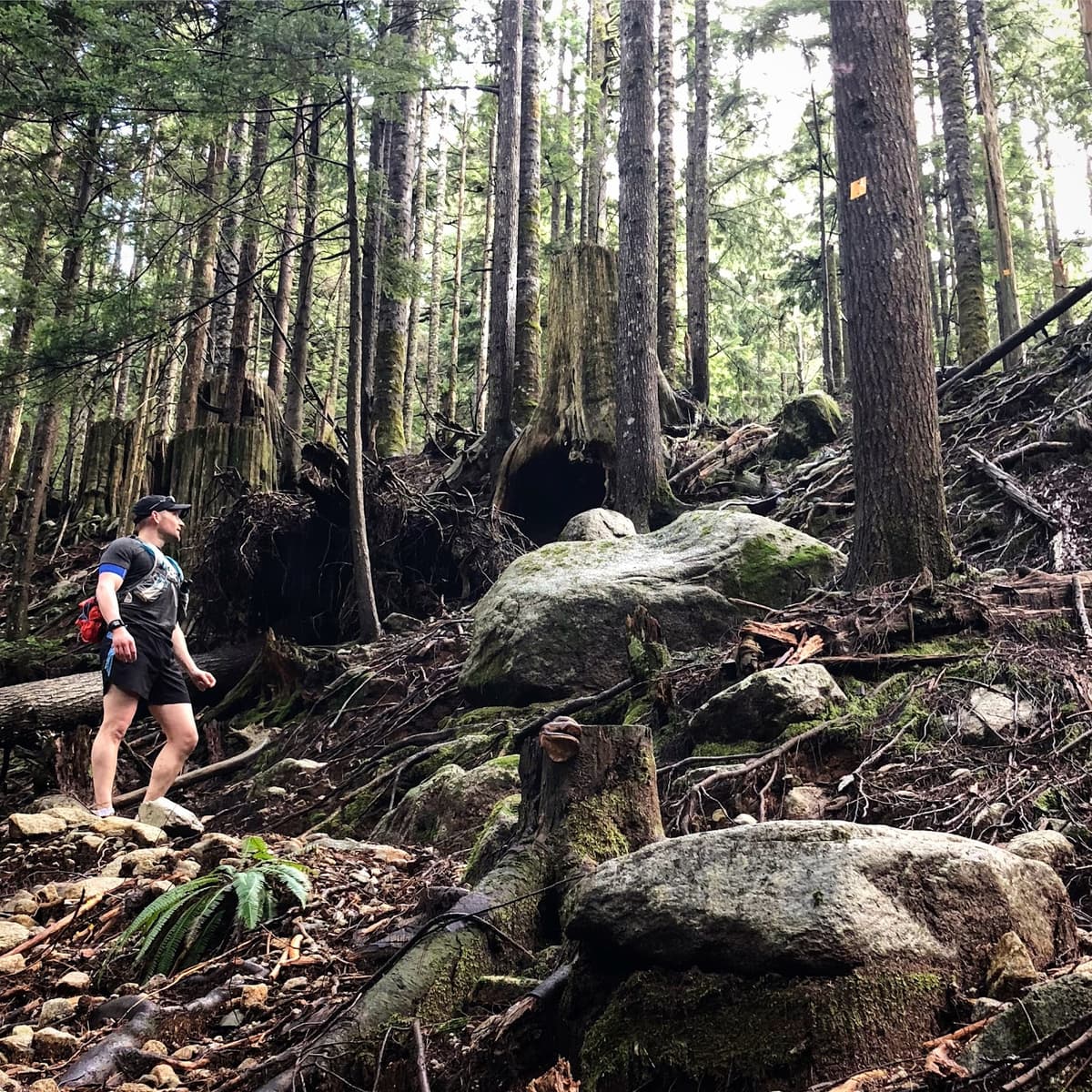 Run Vancouver Adventures