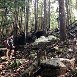 Run Vancouver Adventures