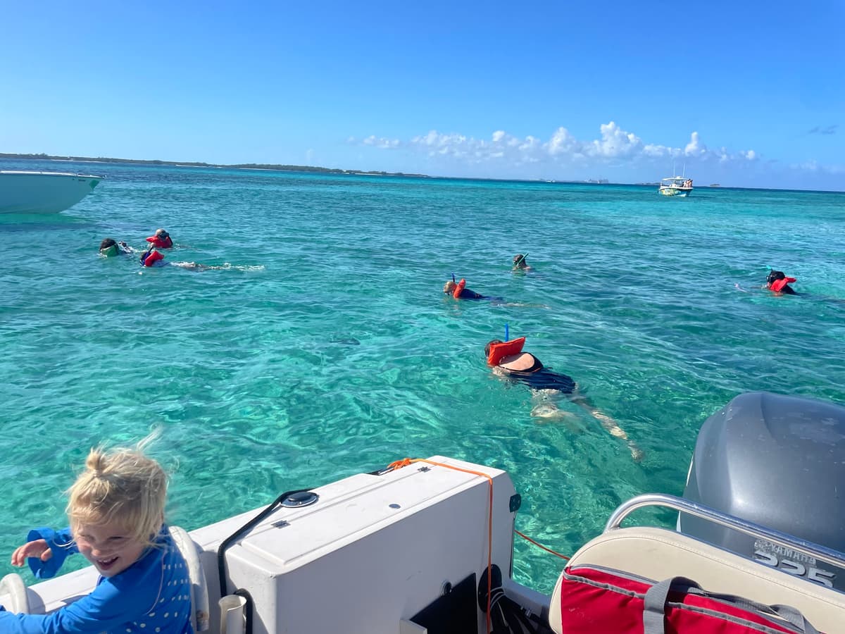 Paradise adventures 242