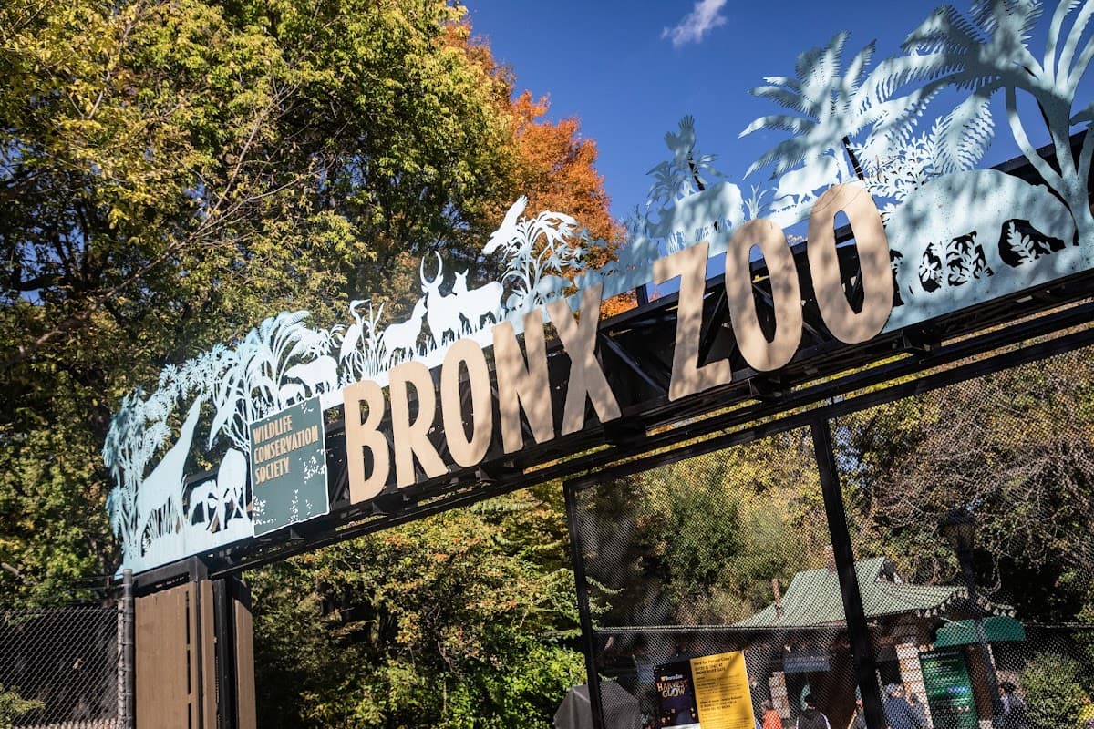 Bronx Zoo