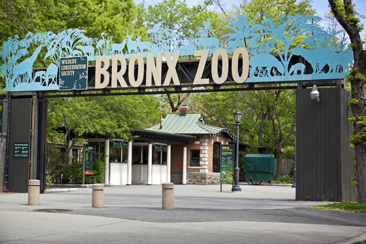 Bronx Zoo — photo 1 of 2