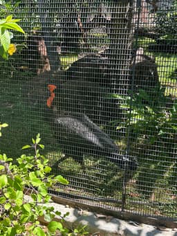 Honolulu Zoo