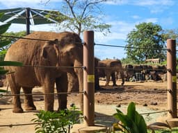 Honolulu Zoo