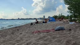 Hanlan's Point Beach