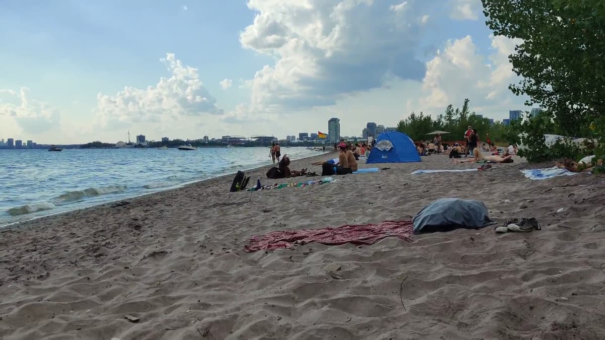 Hanlan's Point Beach, photo 1 of 1