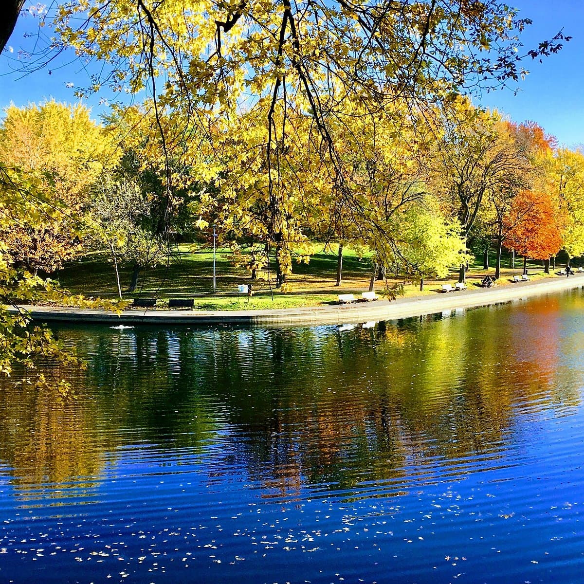Poirier Park, photo 1 of 6