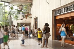 Houston Museum of Natural Science