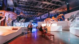 Houston Museum of Natural Science