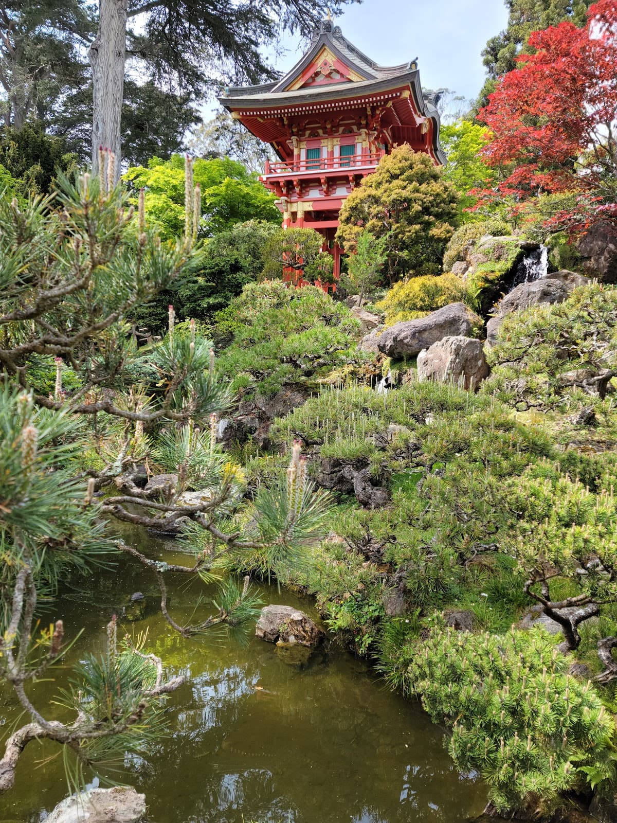 Japanese Tea Garden