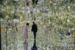 teamLab Planets TOKYO DMM