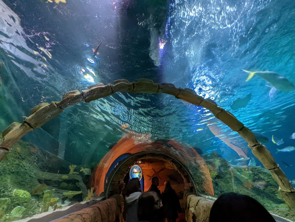 SEA LIFE Kansas City Aquarium
