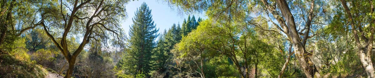 Regional Parks Botanic Garden — photo 1 of 6