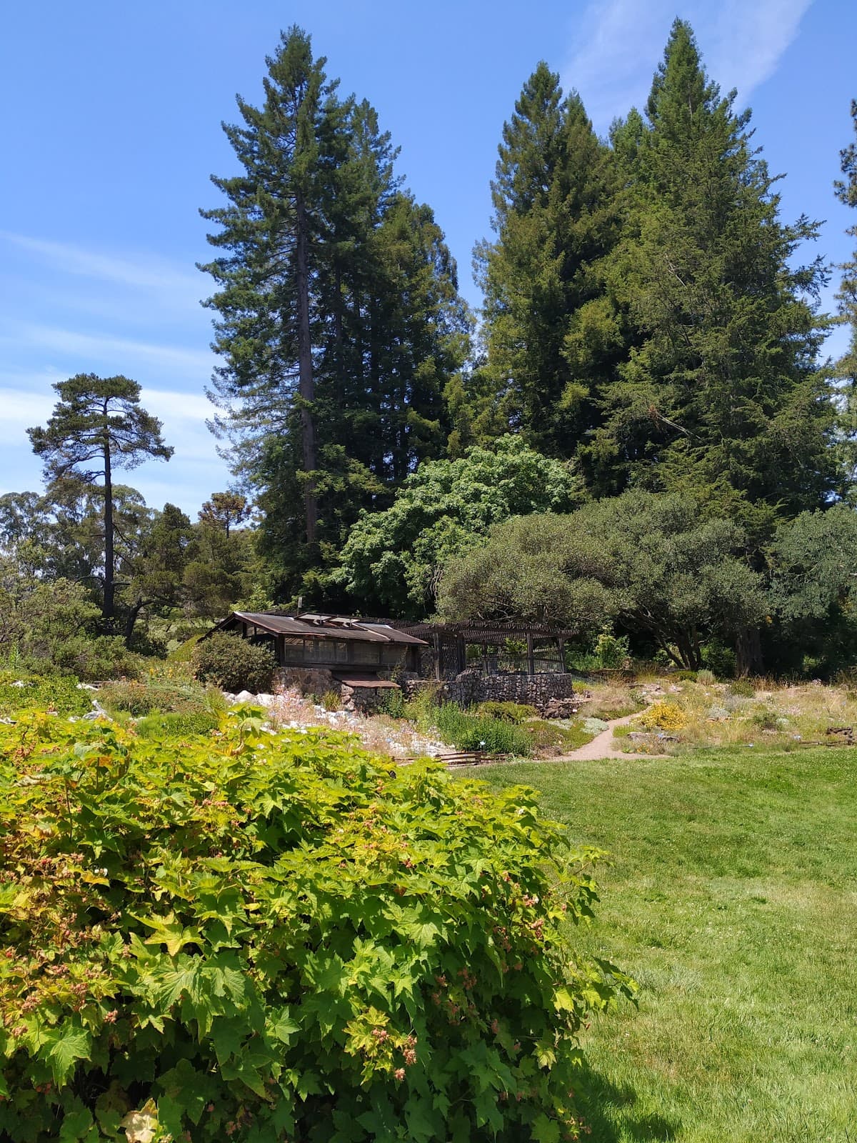 Regional Parks Botanic Garden