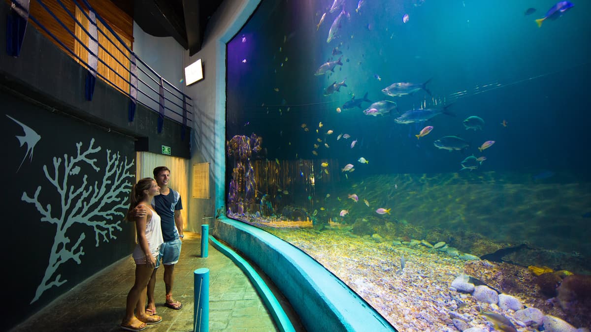 Cancún Toddler Activity Guide