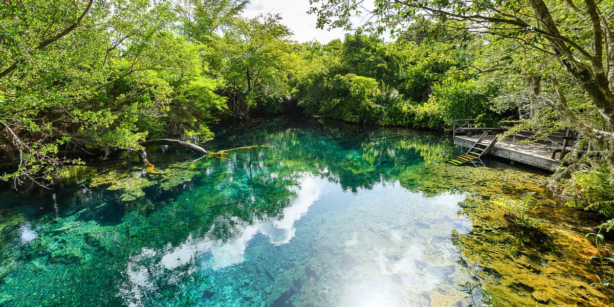 Indigenous Eyes Ecological Reserve, photo 1 of 6