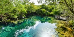 Indigenous Eyes Ecological Reserve