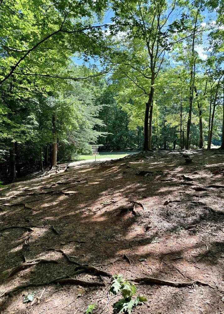 Reedy Creek Nature Center & Preserve