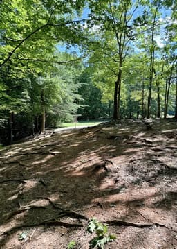 Reedy Creek Nature Center & Preserve