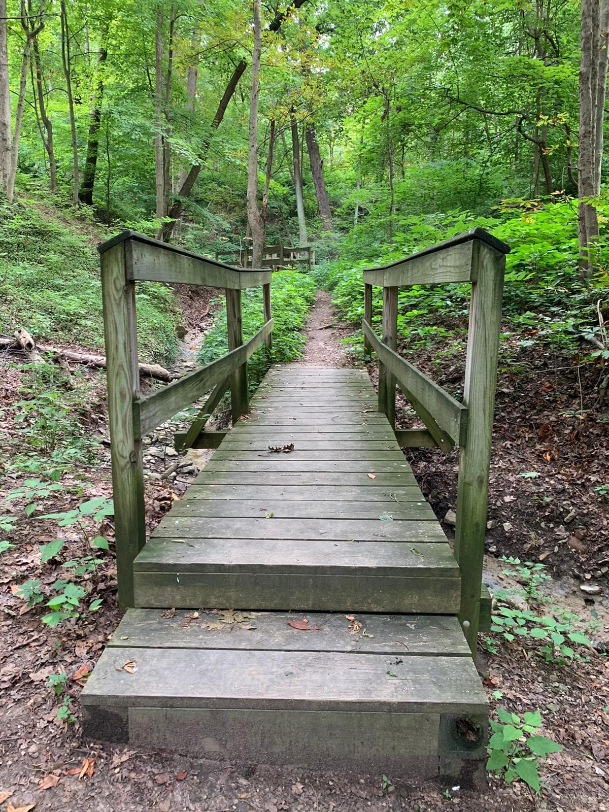 Avon Woods Nature Preserve and Center
