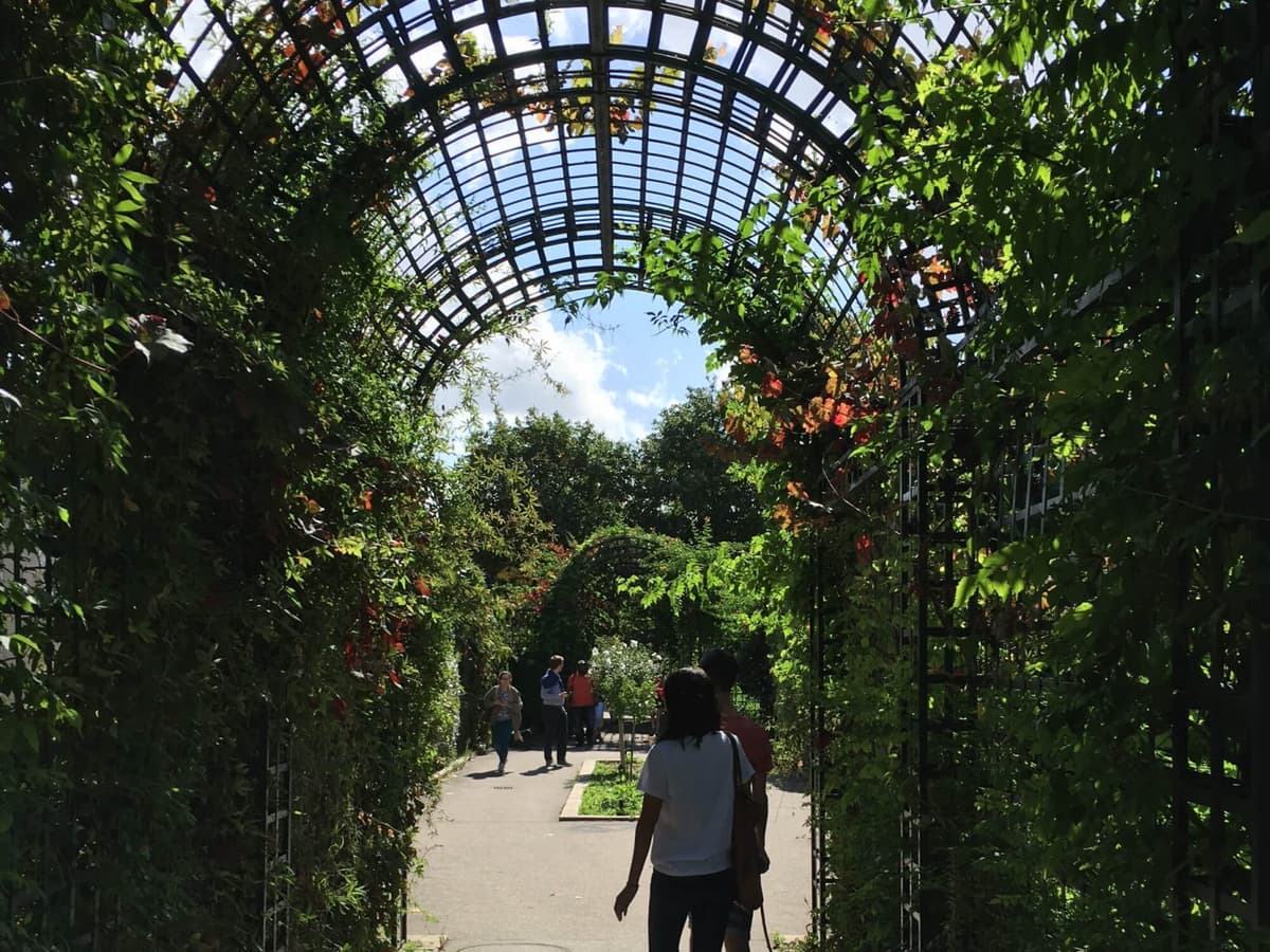 Rene Dumont Tropical Garden