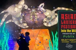 PASEO Asian Lantern Festival: Into the Wild PASEO