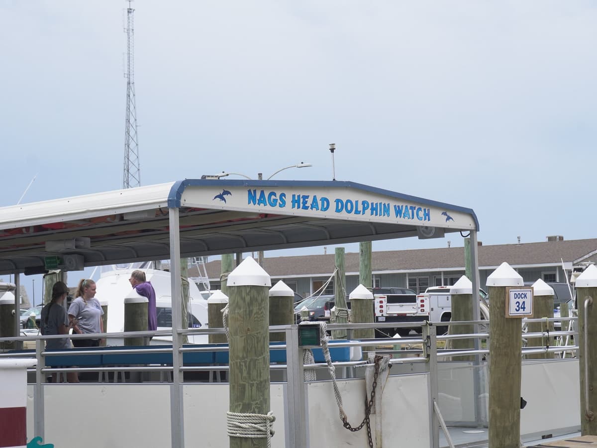 Nags Head Dolphin Watch — photo 1 of 6