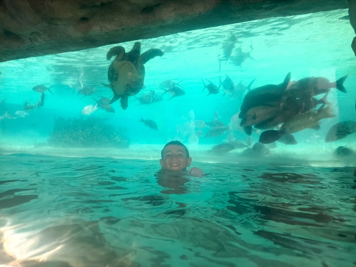 Baha Mar underwater eco-reef