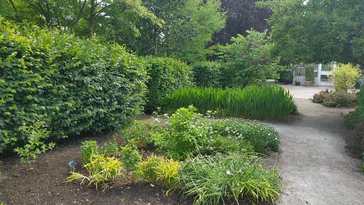 Edwards Gardens