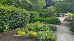 Edwards Gardens