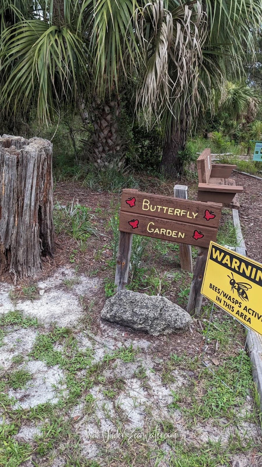 Turkey Creek Sanctuary