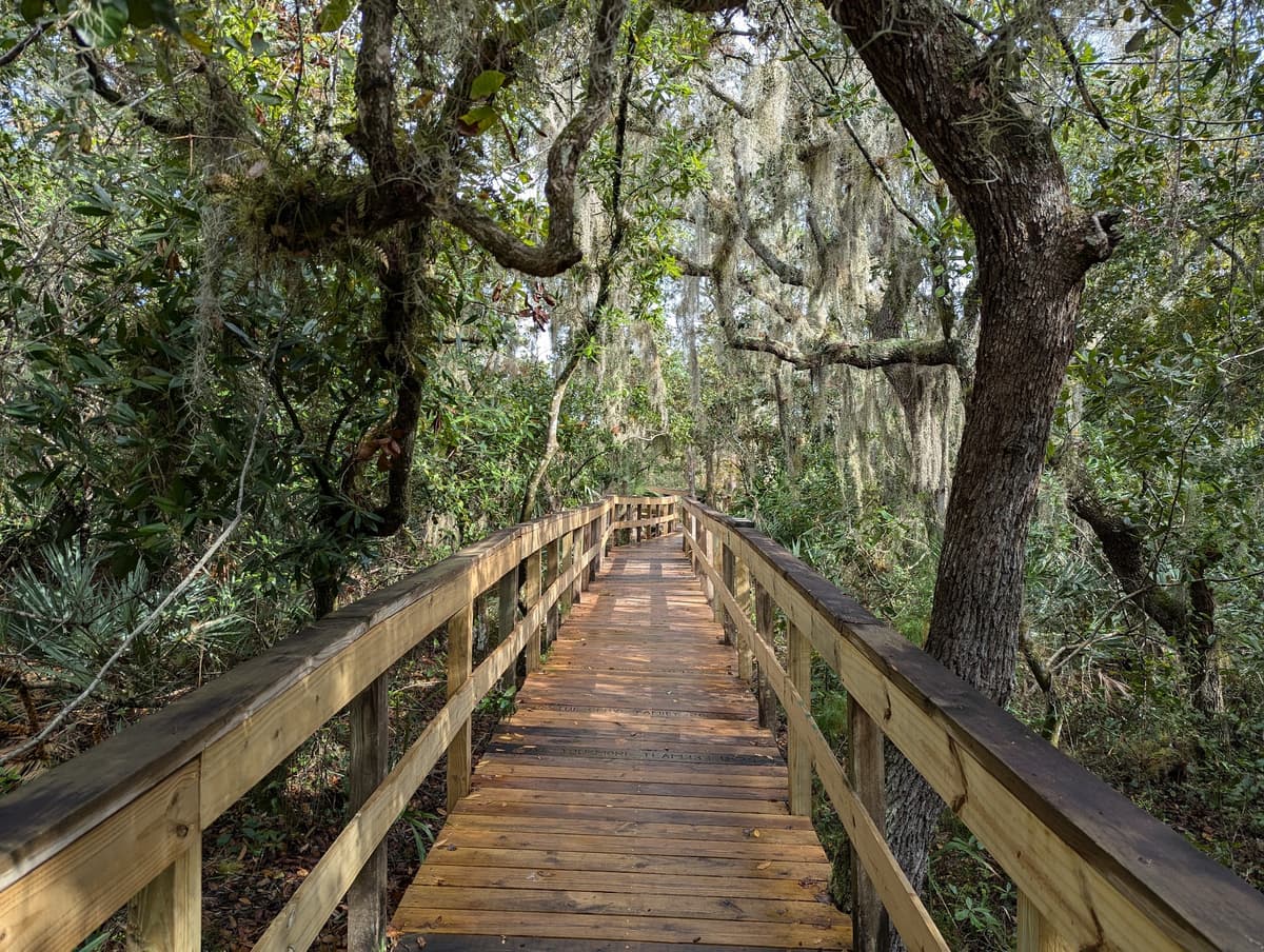 Turkey Creek Sanctuary