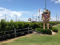 HWY 12 Amusements