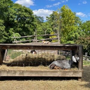 Riverdale Farm