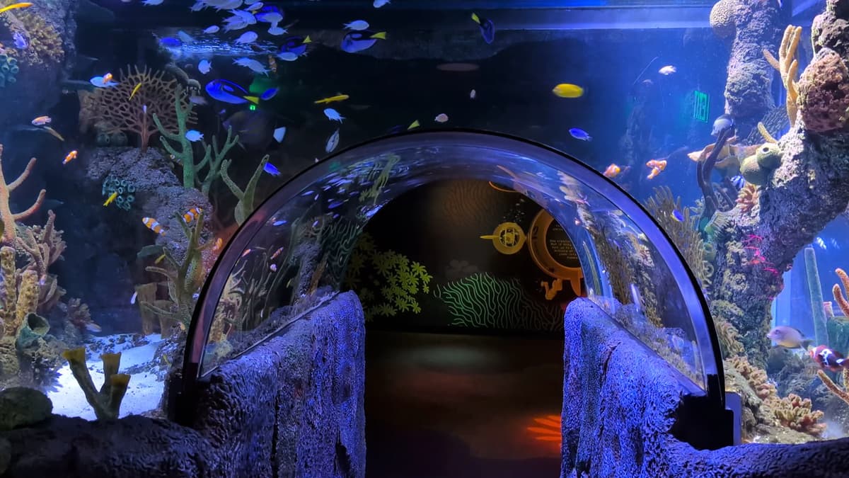 SEA LIFE San Antonio