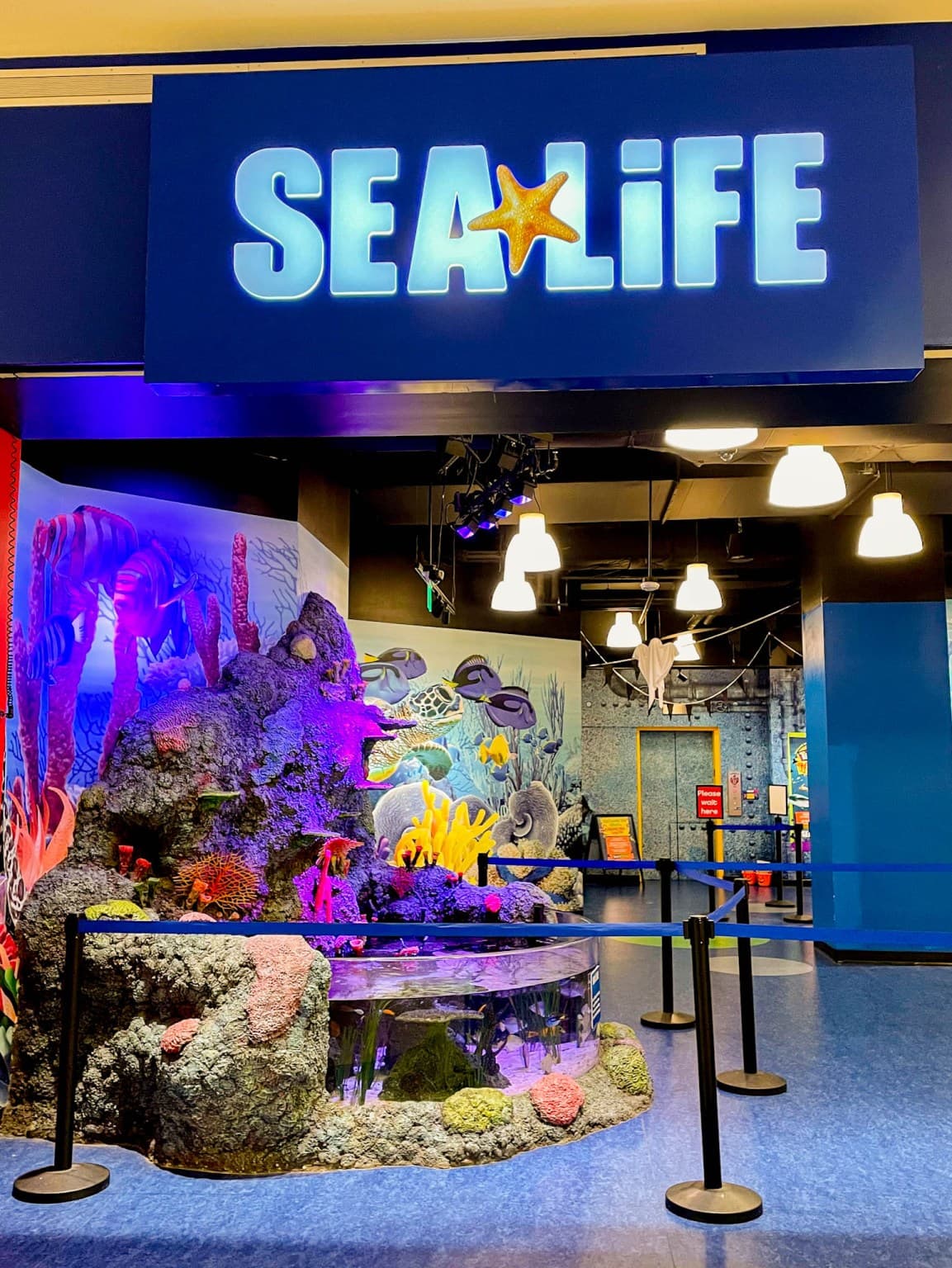 SEA LIFE San Antonio