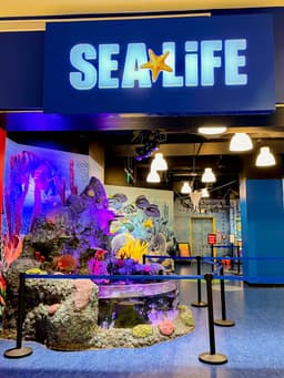 SEA LIFE San Antonio