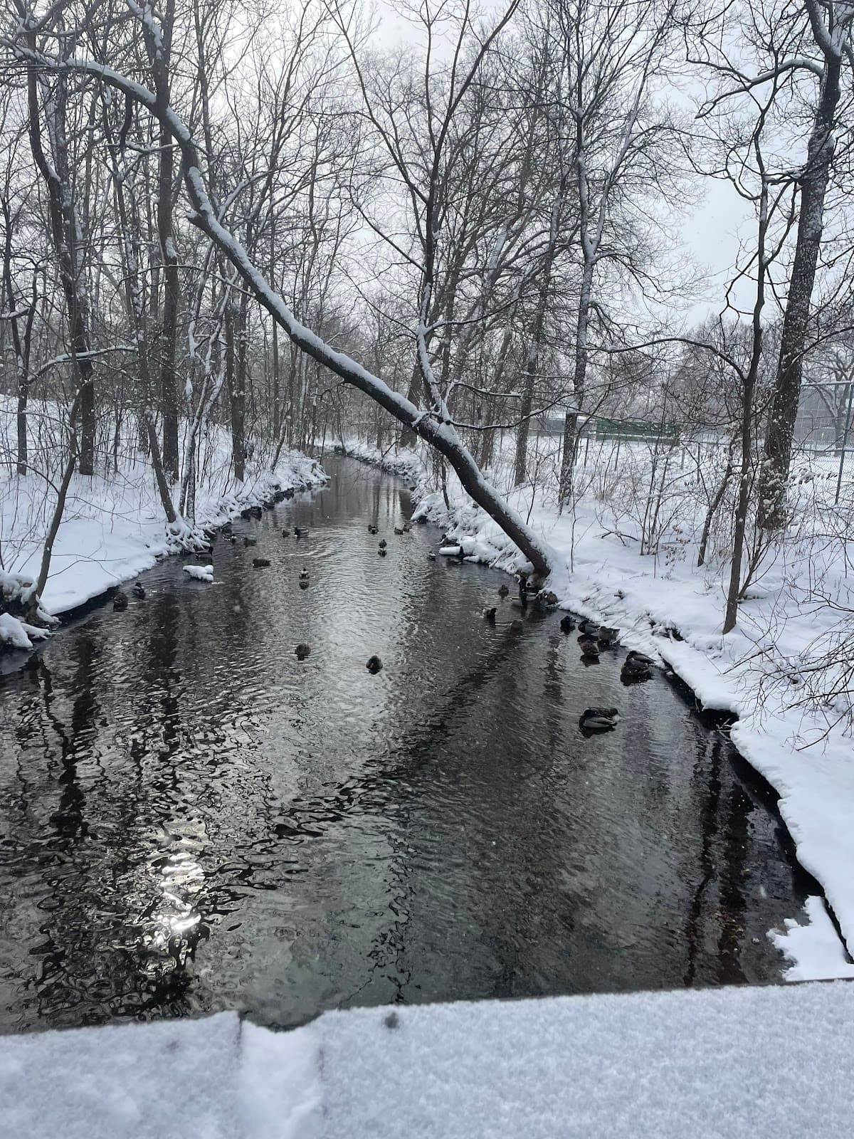 Lyndale Farmstead Park