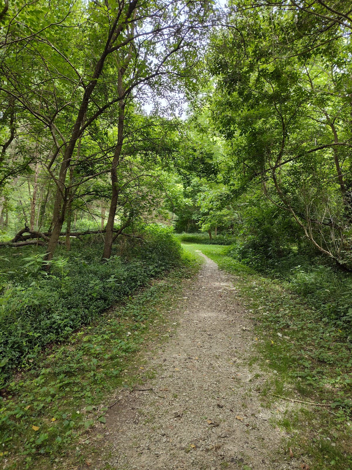 Bortz Family Nature Preserve