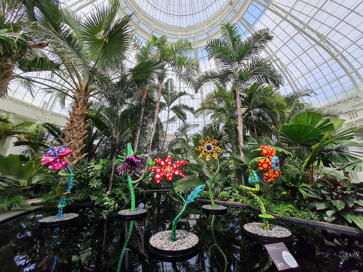 NYBG Ticket Counter